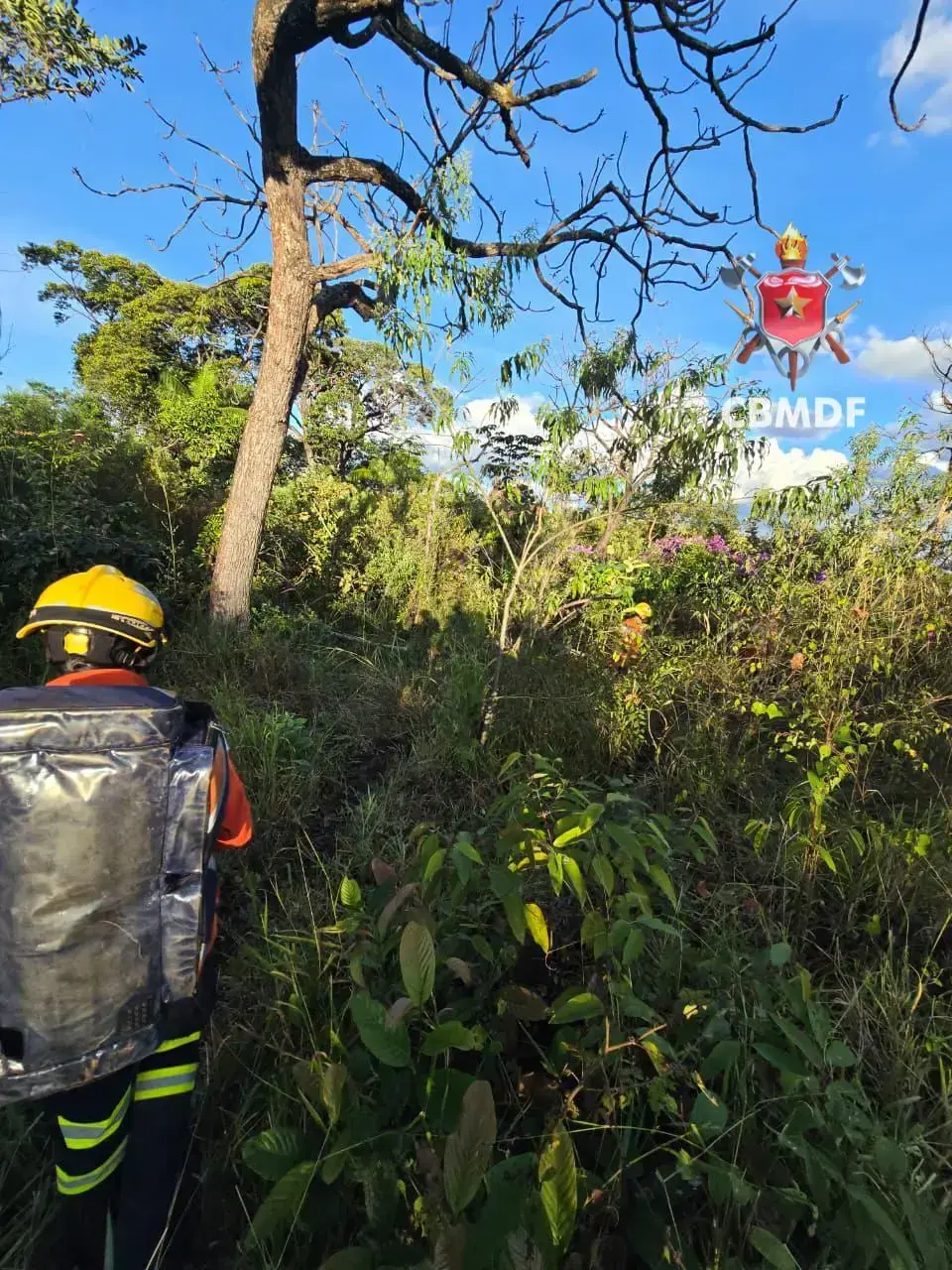Bombeiros resgatam homem com dores nas pernas em área rural de Brazlândia
