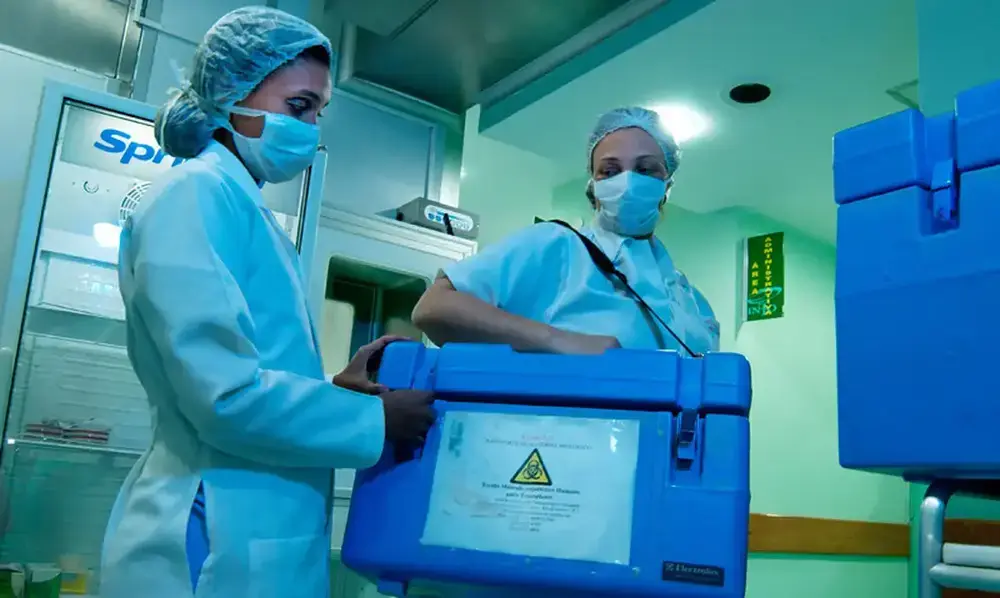 Brasil registra 31 mil transplantes em 2025, recorde histórico