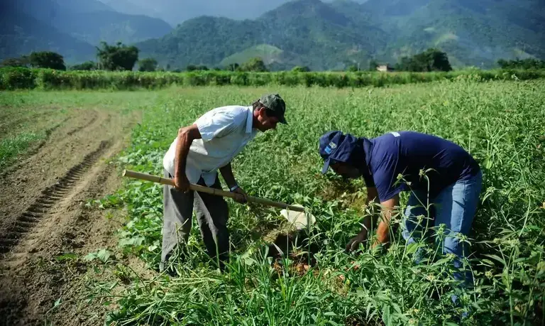 CAE aprova renegociação de dívidas rurais com fundo do pré-sal