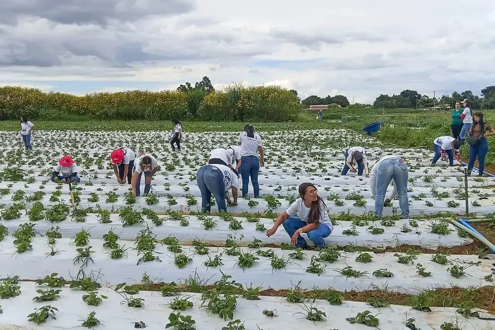 GDF certifica mais de 100 mulheres em programa rural