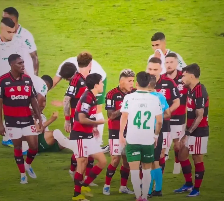 Palmeiras vence Flamengo por 3 a 0 e abre 7 pontos no Brasileirão