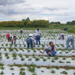 GDF certifica mais de 100 mulheres em programa rural