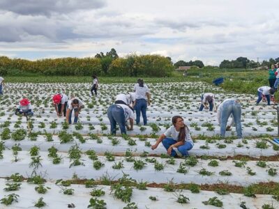 GDF certifica mais de 100 mulheres em programa rural